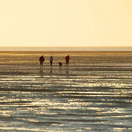 Albatros 1a * Дорум-Нойфельд