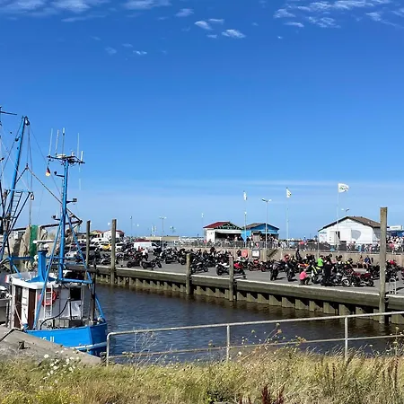 Albatros 1a Дорум-Нойфельд