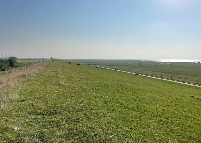 Albatros 1a دورم نيوفيلد