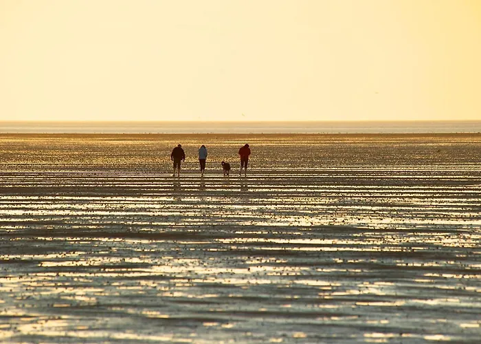 Albatros 1a * دورم نيوفيلد