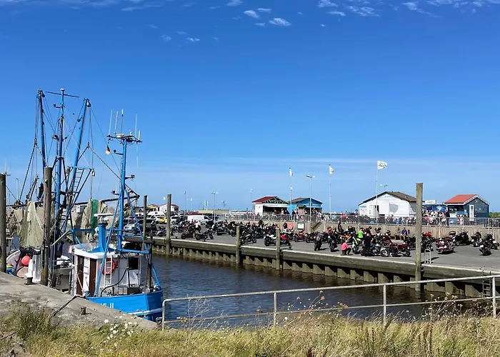 Albatros 1a دورم نيوفيلد